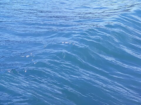 Blue water surface with ripples. 
