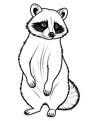 Raccoon Coloring for All Ages