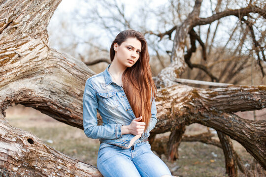 Fashion beautiful young woman with brunette hair in a fashionable denim jacket with jeans sits near a dead tree in the park