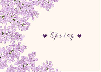 Fototapeta na wymiar Spring border with lilac flowers. Floral background with place for text. Vector illustration. Linear art style.