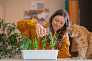 Smiling woman in a mustard yellow top waters green onion plants in a planter, while an inquisitive ginger cat watches closely. Growing greenery in the apartment, a mini vegetable garden.