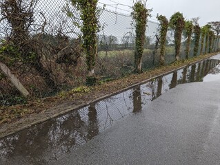 Rainy countryside road with overgrown fence