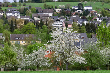 spring in the village