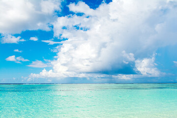 Beautiful landscape of the Indian Ocean coast