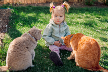 Portrait of pretty child girl with cats in spring backyard garden