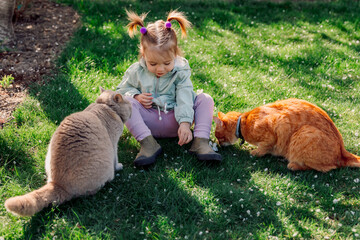 Child girl sitting and feeding cats in spring backyard garden