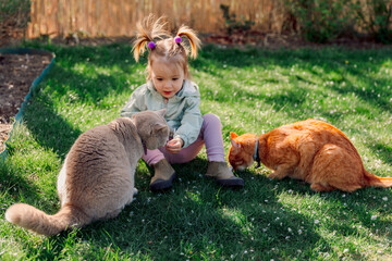Little girl with cats in spring backyard garden - 781298689