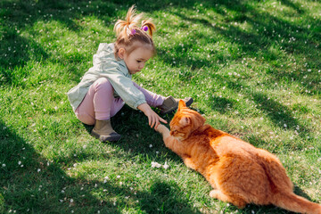 Child girl playing with ginger cat in backyard garden on sunny day - 781298809
