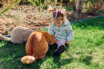 Cute child girl feed cats in spring backyard garden