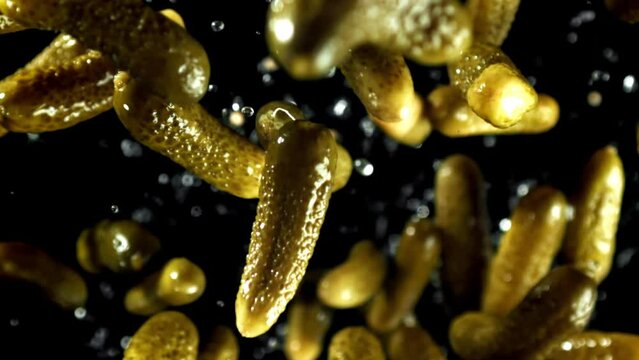 Super slow motion Pickled cucumbers. High quality FullHD footage