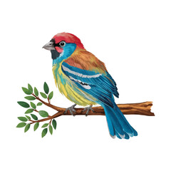 Cute Little Birds Sitting On A Branch