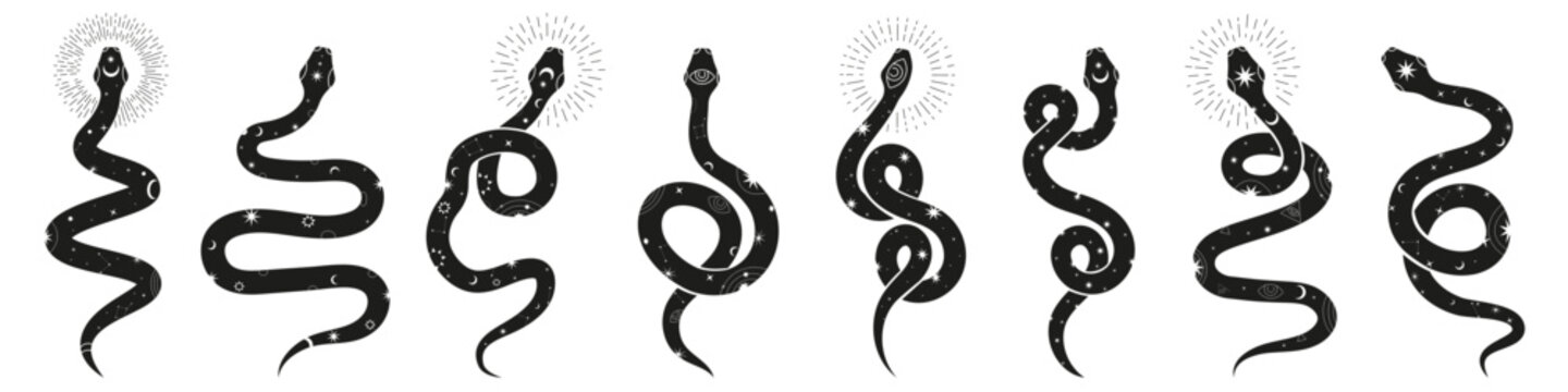 Mystic snake. Magical snake symbols.