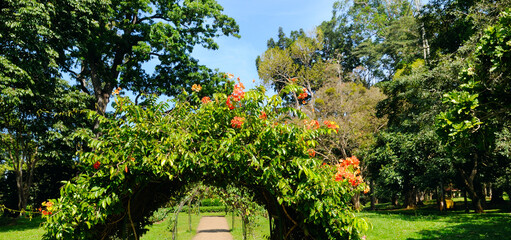 A flower arch over a walking path. Wide photo.