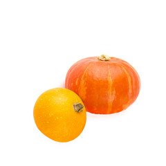 Two small pumpkins isolated on a white. There is free space for text. - 781304221