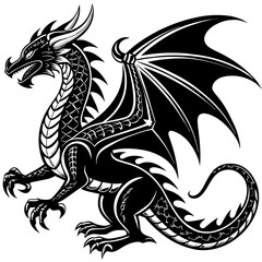 black dragon with background