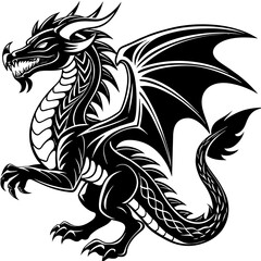 black and white dragon