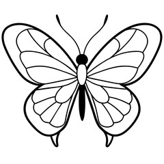 Fototapeta premium Butterfly vector illustration. 