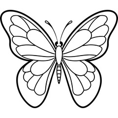     Butterfly vector illustration.
