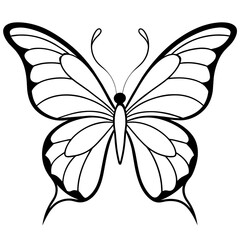     Butterfly vector illustration.
