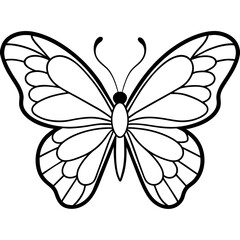     Butterfly vector illustration.

