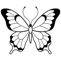     Butterfly vector illustration.
