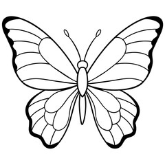     Butterfly vector illustration.
