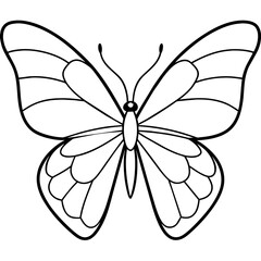     Butterfly vector illustration.
