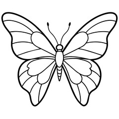     Butterfly vector illustration.
