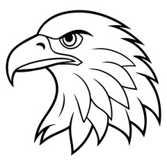 Fototapeta premium american bald eagle