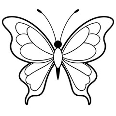     Butterfly vector illustration with line art..
