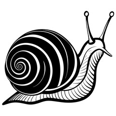 snail © bizboxdesigner