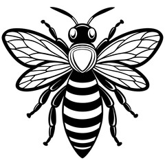 bee on white