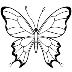 Butterfly vector illustration with line art..