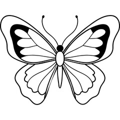 Naklejka premium Butterfly vector illustration with line art.. 