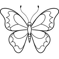     Butterfly vector illustration with line art..
