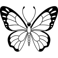     Butterfly vector illustration.
