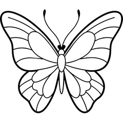     Butterfly vector illustration.
