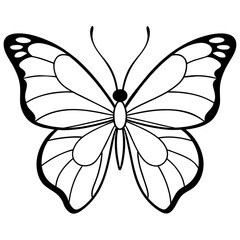 Fototapeta premium Butterfly vector illustration. 
