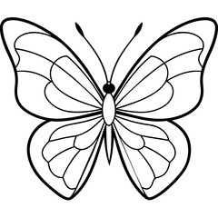     Butterfly vector illustration.
