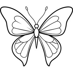     Butterfly vector illustration.

