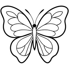     Butterfly vector illustration.
