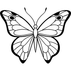     Butterfly vector illustration.
