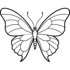     Butterfly vector illustration.

