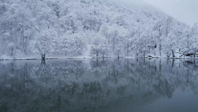 Lac enneig&eacute; Bethmale Ari&egrave;ge for&ecirc;t neige