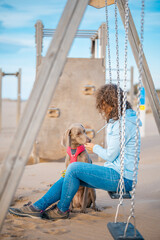 Young girl sitting on a swing on the beach plays with her Weimaraner dog. Braco de Weimar happy with young woman on the beach, sitting waiting. - 781311429