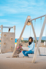 Young girl sitting on a swing on the beach plays with her Weimaraner dog. Braco de Weimar happy with young woman on the beach, sitting waiting. - 781311435
