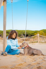 Young girl sitting on a swing on the beach plays with her Weimaraner dog. Braco de Weimar happy with young woman on the beach, sitting waiting.