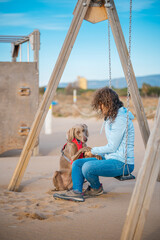 Young girl sitting on a swing on the beach plays with her Weimaraner dog. Braco de Weimar happy with young woman on the beach, sitting waiting. - 781311455
