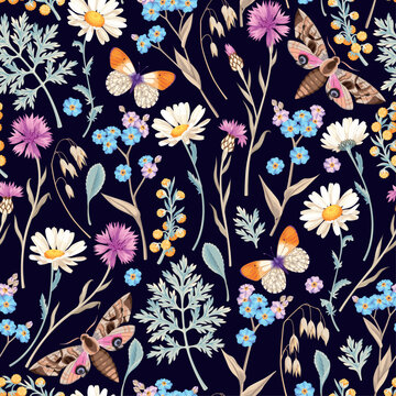 Seamless pattern with meadow flower and butterfly