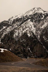 Pico de cerler, Ampriu